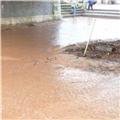 The Morning After The Floods 015